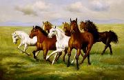 unknow artist Horses 025 china oil painting artist
